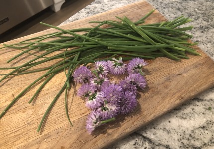 Harvested chives on my cutting board, with blossoms removed